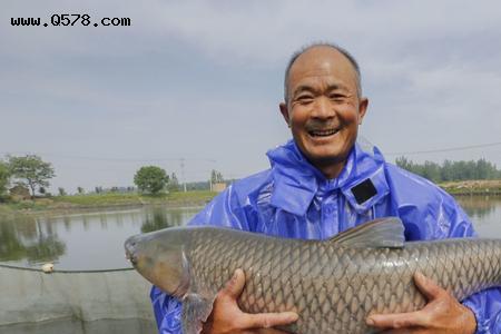 青鱼舌头怎么变亮