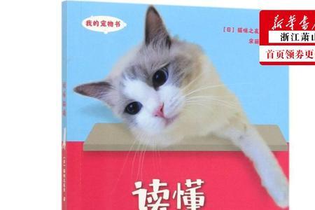 跟猫说不要它猫语咋说