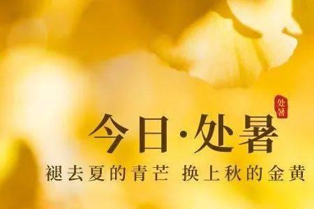 褪去青芒什么意思