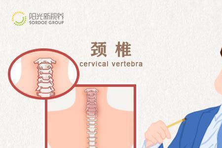 任之随之的意思