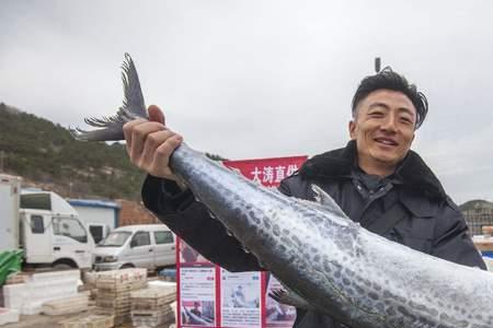 黄海鱿鱼洄游路线