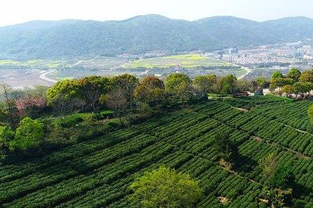 无锡最高山峰排名