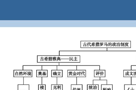 什么政治历史