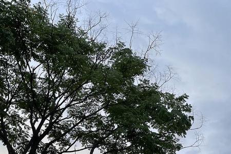 天空要下雨下一句是什么