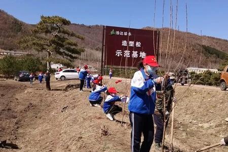 塞罕坝小学课文