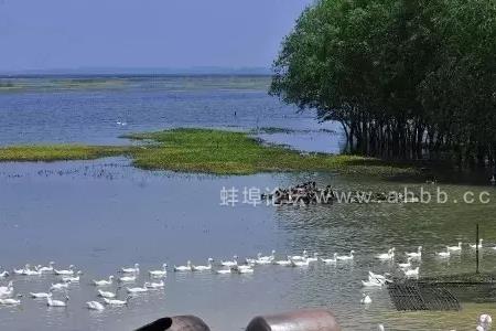 蚌埠三汊河湿地公园门票