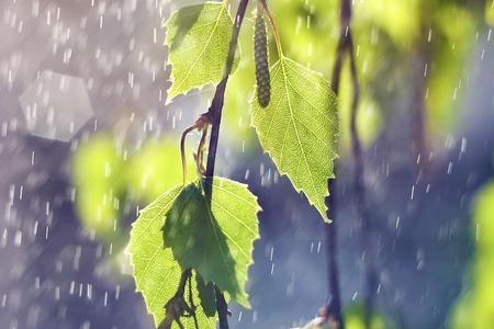 今年夏天多雨原因