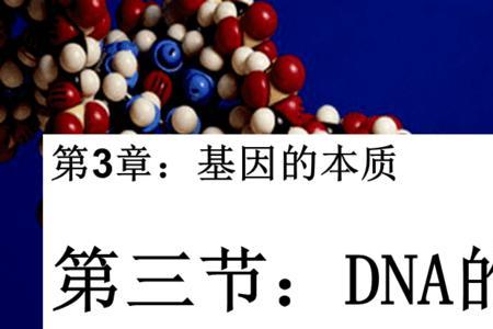 dna复制的底物是什么