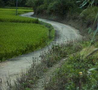 山间小路是公路吗