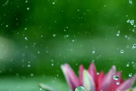 好雨知时节为什么说是好雨