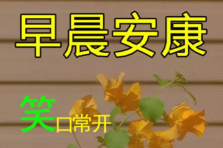 6点说早上好代表什么