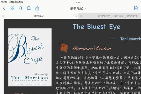 thebluesteye主要内容