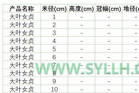 秋收之后适合扦插金森女贞么