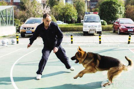 老电影警犬卡儿的电影名是什么