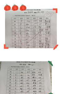 查字典5笔的字