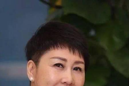 张凯丽婚姻史