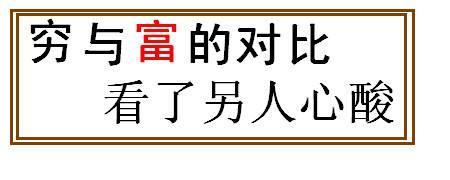 穷极一生浮沉你说笨不笨的含义