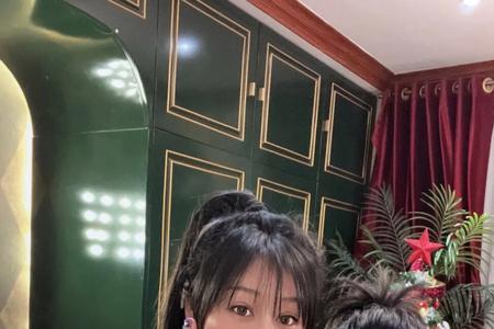 蒋丽莎lisa演过什么电视