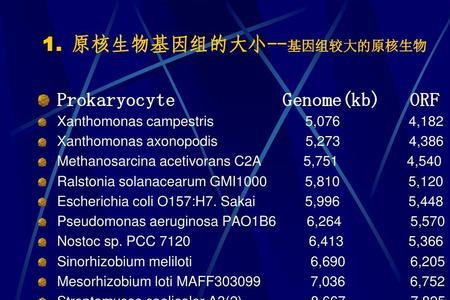 高中生物中基因组的概念