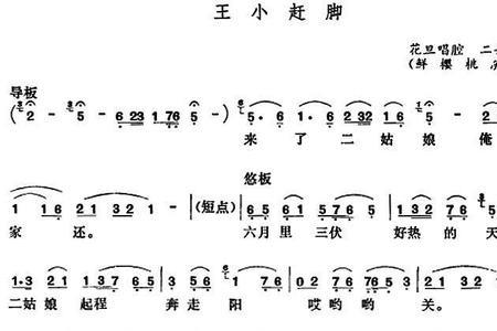 五音戏王小赶脚唱词