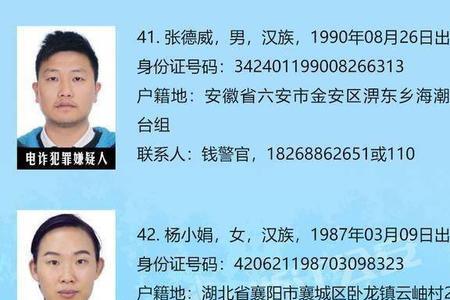 公开通缉是什么意思