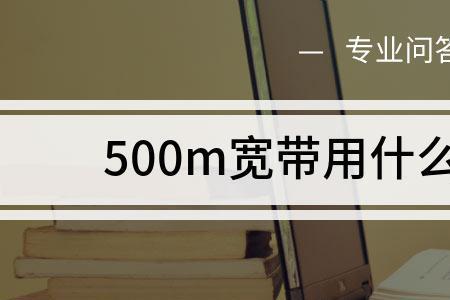 300m宽带两个人够用吗