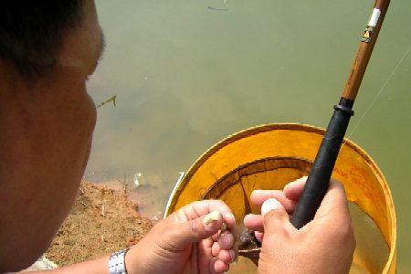 米饭搓饵的正确做法