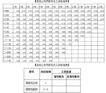 公务员职级并行实施细则