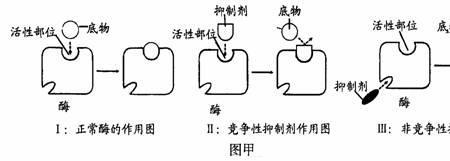 竞争性和非选择性有什么区别