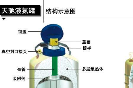 到杜瓦怎么念