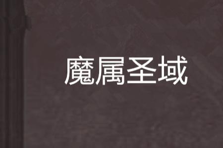 圣域凌龙魔攻好还是攻击好