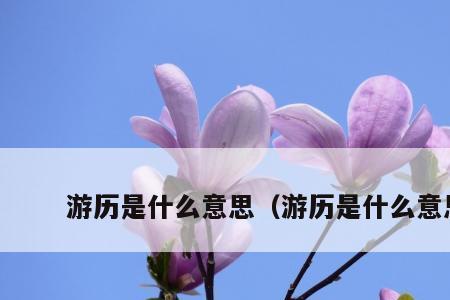 只是一个传说什么意思解释