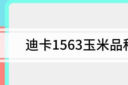 迪卡1563有几种包装