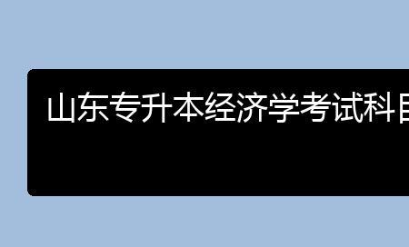 经济学有计算机课吗