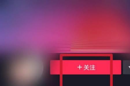 抖音上的共同关注是什么