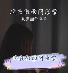 晚风微雨问海棠什么意思