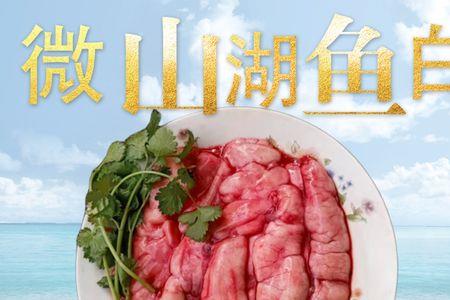 新鲜鱼白能冷冻吗