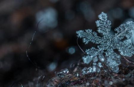 爱你就像雪花点点滴滴流歌词