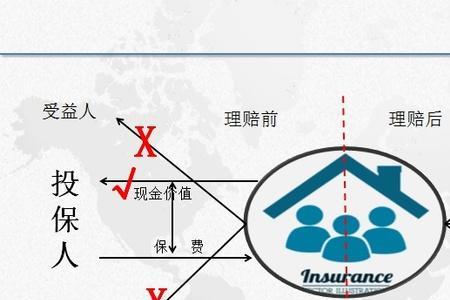 申请人和被保险人指的是