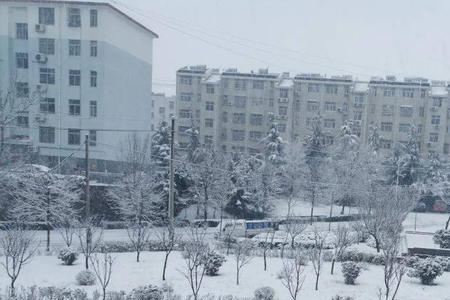 白花花的雪地对不对