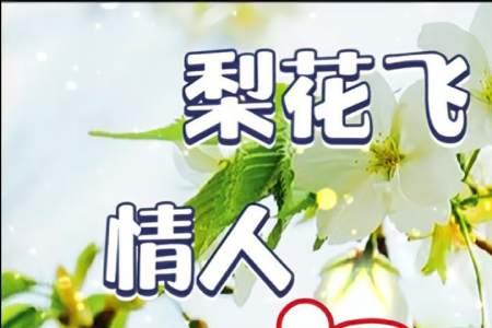 歌曲梨花飞情人泪的寓意