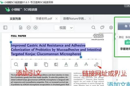 小绿鲸是app还是网页