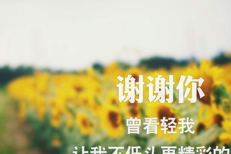 女生说谢谢你拯救了我如何回复