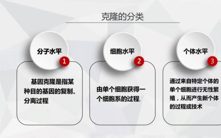 克隆的特点是什么