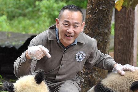 领养熊猫需要什么条件和手续