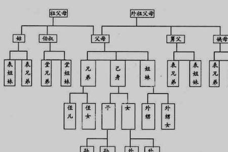 近亲和血亲区别