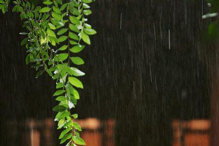 高山晴雨闲吟处的意思