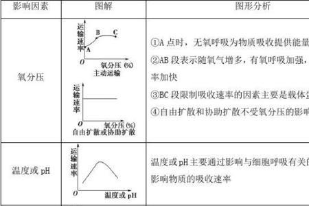 生物中自变量和因变量各是什么