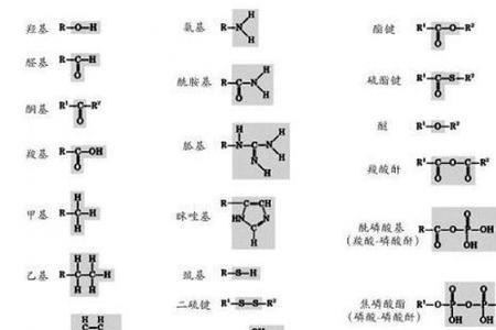 NH3是哪个官能团