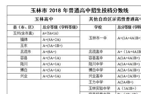 玉林十一中学录取分数线2020